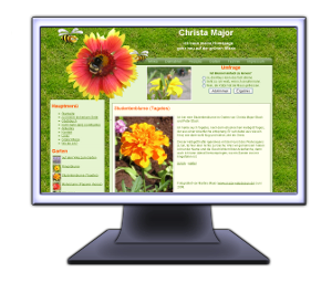 Neues Design für Homepage auf der grünen Wiese Neues Design für Homepage auf der grünen Wiese