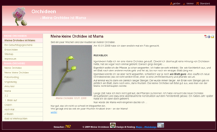Homepage: orchideen.major-online.de Homepage: orchideen.major-online.de